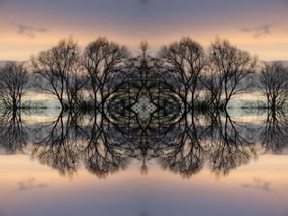 ../Images/048_Baum_04.jpg