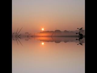 ../Images/332_Nebel_am_Morgen2.jpg