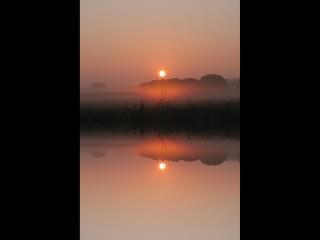 ../Images/333_Nebel_am_Morgen3.jpg