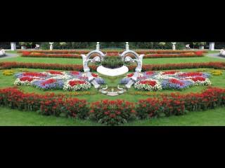 ../Images/353_Park.jpg