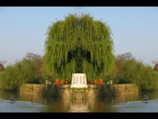 ../Images/516_Weide_03.jpg