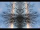 Thumbs/tn_053_Baum_09.jpg