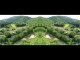 Thumbs/tn_129_Eifel_1.jpg