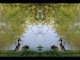 Thumbs/tn_139_Enten_01.jpg