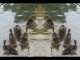 Thumbs/tn_140_Entenk_ken_01.jpg