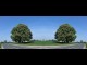 Thumbs/tn_228_Kastanien_01.jpg
