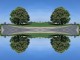 Thumbs/tn_229_Kastanien_02.jpg
