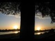 Thumbs/tn_243_K_ln_am_Rhein.jpg
