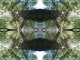 Thumbs/tn_276_Linde.jpg