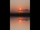 Thumbs/tn_333_Nebel_am_Morgen3.jpg