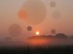 Thumbs/tn_335_Nebel_am_Morgen_Baelle.jpg