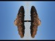 Thumbs/tn_427_Schirm_01.jpg