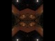 Thumbs/tn_432_Schirme3.jpg