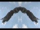 Thumbs/tn_449_Snake_02.jpg