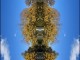 Thumbs/tn_505_Wald_04.jpg
