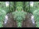 Thumbs/tn_506_Wald_05.jpg