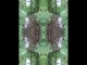 Thumbs/tn_507_Wald_06.jpg