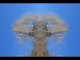 Thumbs/tn_514_Weide_01.jpg