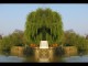 Thumbs/tn_516_Weide_03.jpg